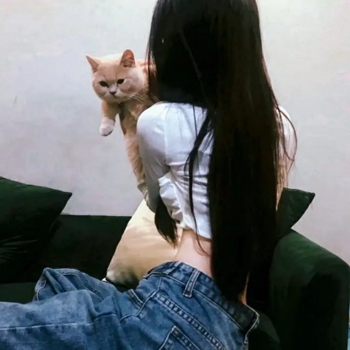美味小姐与爆笑先生